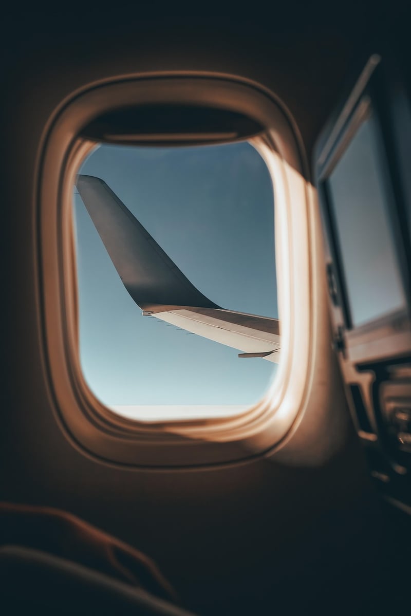 Airplane in Flight